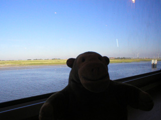 Mr Monkey looking at flat polder country near Nieuwpoort