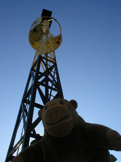 Mr Monkey looking up at the top of the buoy