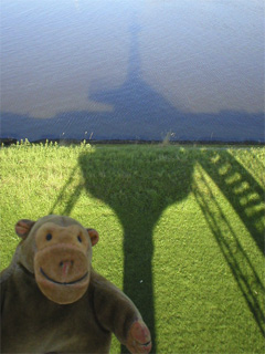 Mr Monkey looking down at the shadow cast by the buoy