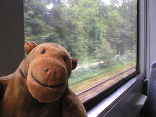 Mr Monkey looking at a nature reserve from a tram