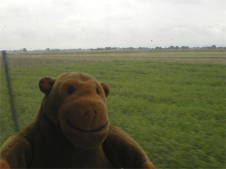 Mr Monkey looking across flat fields from a tram