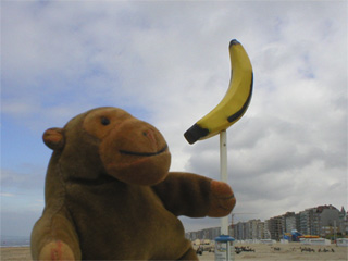 Mr Monkey looking at a giant banana on a pole