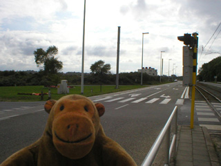 Mr Monkey looking towards the Normandie