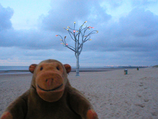 Mr Monkey looking at an artificial tree on a beach