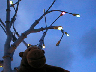 Mr Monkey looking at the illuminated tree