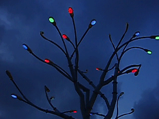 Animation - lights on an artificial tree changing colour