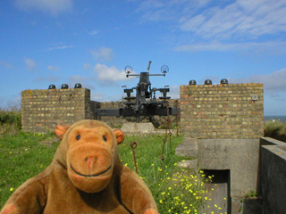 Mr Monkey looking at a WW2 anti aircraft position