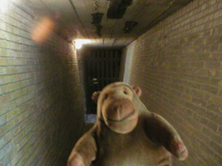 Mr Monkey in a bomb proof tunnel