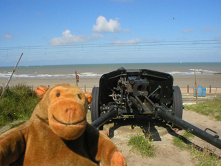 Mr Monkey looking at a 75mm Pak 40 anti-tank gun