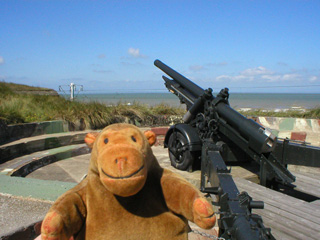 Mr Monkey looking at a Belgian 120mm field gun