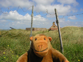 Mr Monkey looking at a gun emplacement through some barbed wire