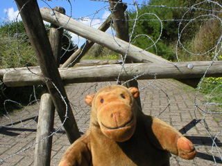 Mr Monkey in front of a barbed wire entanglement