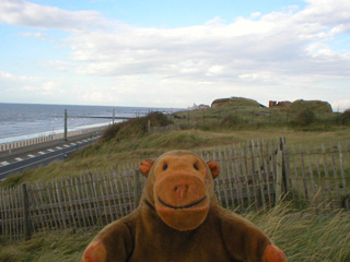 Mr Monkey looking at the bunkers along the dunes