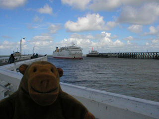 Mr Monkey watching a ferry enter the harbour