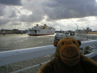 Mr Monkey watching a ferry sailing through the harbour