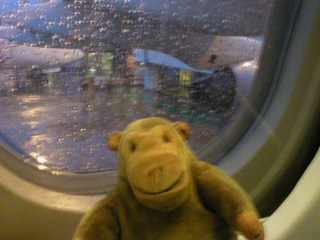 Mr Monkey looking out of his plane window before take-off