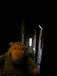 Mr Monkey scurrying up a staircase in the keep