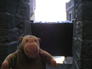 Mr Monkey looking at a wooden shutter on the battlements