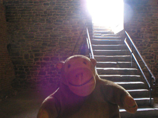 Mr Monkey looking at the steps down into the cellar of the keep
