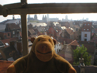 Mr Monkey looking out of a window at MIAT