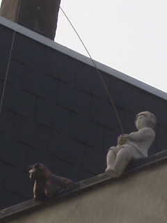 A fishing boy and a cat on a rooftop above the Ketelvest