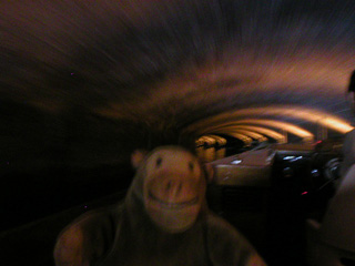 Mr Monkey in the other tunnel under the Sint-Laurentsplein
