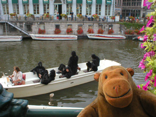 Mr Monkey watching a tour boat full of gorillas