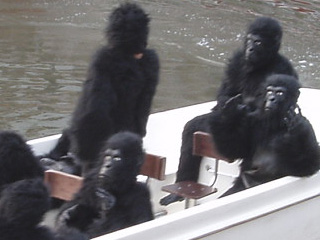 Gorillas in a tour boat