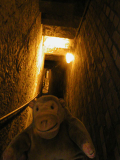 Mr Monkey on a narrow staircase in the wall of the Belfry