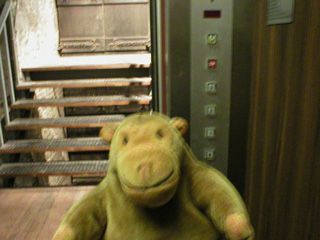 Mr Monkey in the lift
