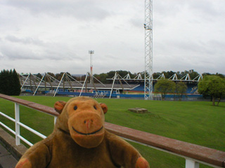 Mr Monkey looking at a sports stadium