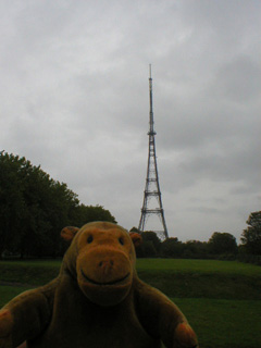 Mr Monkey looking at the Crystal Palace transmitter