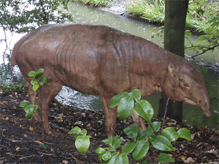 A tapir-like beast mooching around by a lake