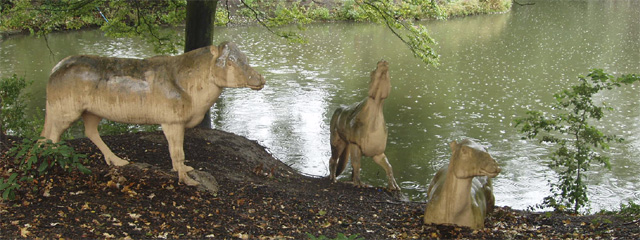 A group of three stocky, short legged camel-faced mammals