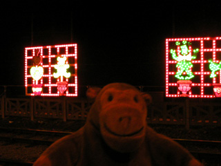 Mr Monkey looking at Christmassy illuminations