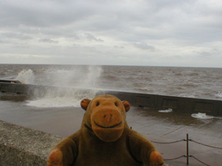 Mr Monkey looking at waves breaking on the sea defences at Norbreck