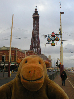 Mr Monkey looking at the Blackpool Tower