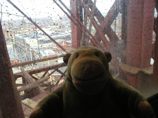 Mr Monkey in the lift to the top of Blackpool Tower