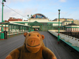Mr Monkey looking at the landlocked parts of the pier