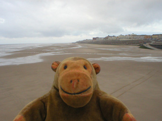 Mr Monkey looking north from the North Pier