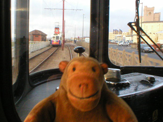 Mr Monkey looking out of the back of a Blackpool tram
