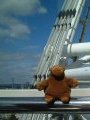 Mr Monkey on the London Eye