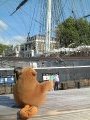 Mr Monkey and the Cutty Sark