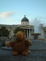 Mr Monkey in Trafalgar Square