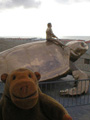 Giant turtle in Nieuwpoot