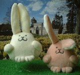 Two bunnies bouncing